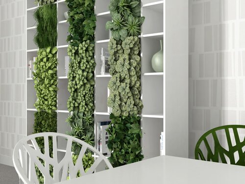 Boekenkast met planten voor verticale tuin in huis