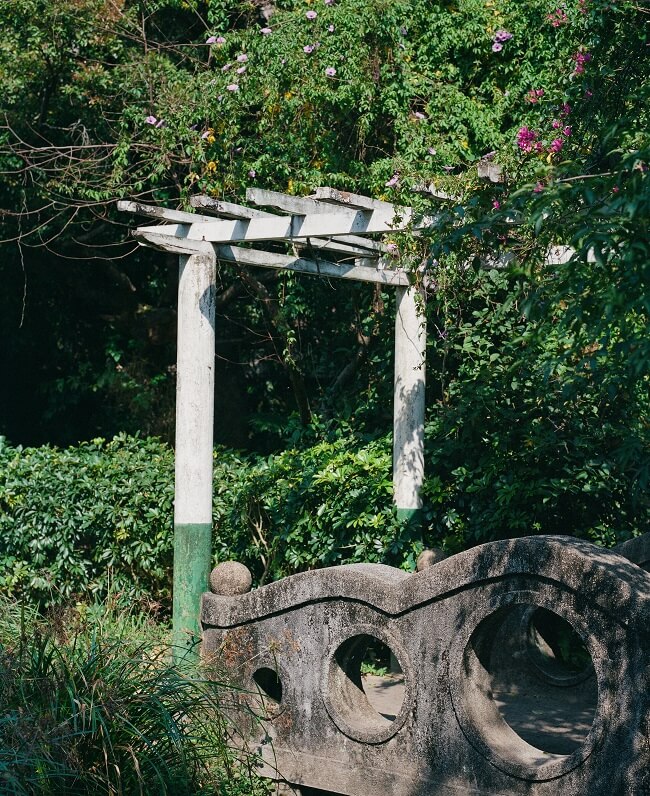 Begroeide pagode