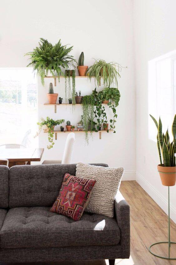 Inspiratie: Een planten muur maken | Ik woon fijn