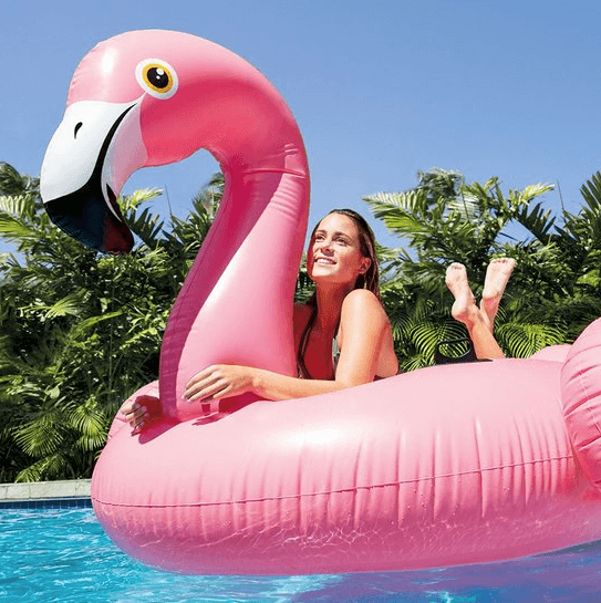 zwembad flamingo