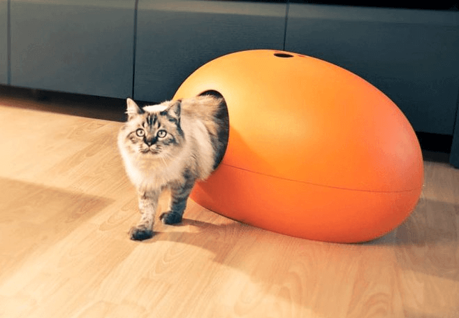 Opvallende kattenbak oranje