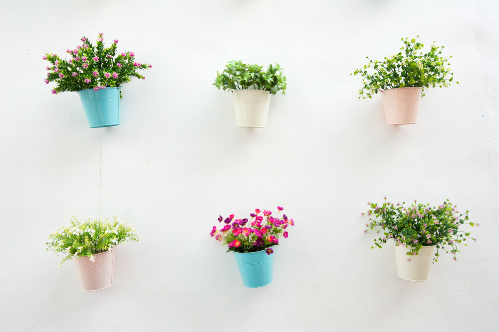 Een muur met planten: we delen de mooiste tips!