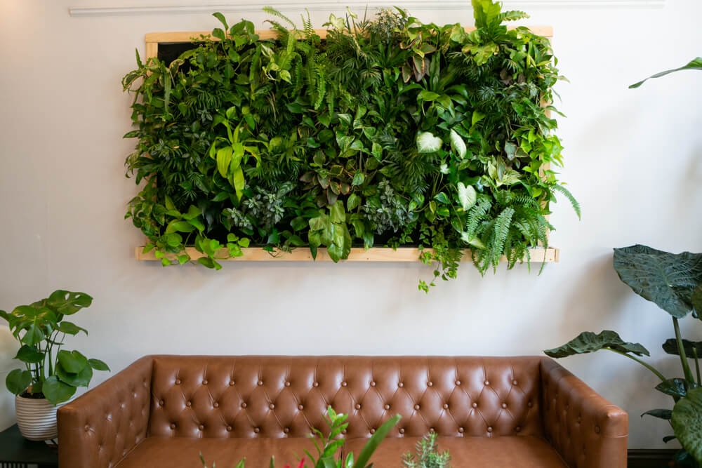 Botanisch wonen met een muur vol planten