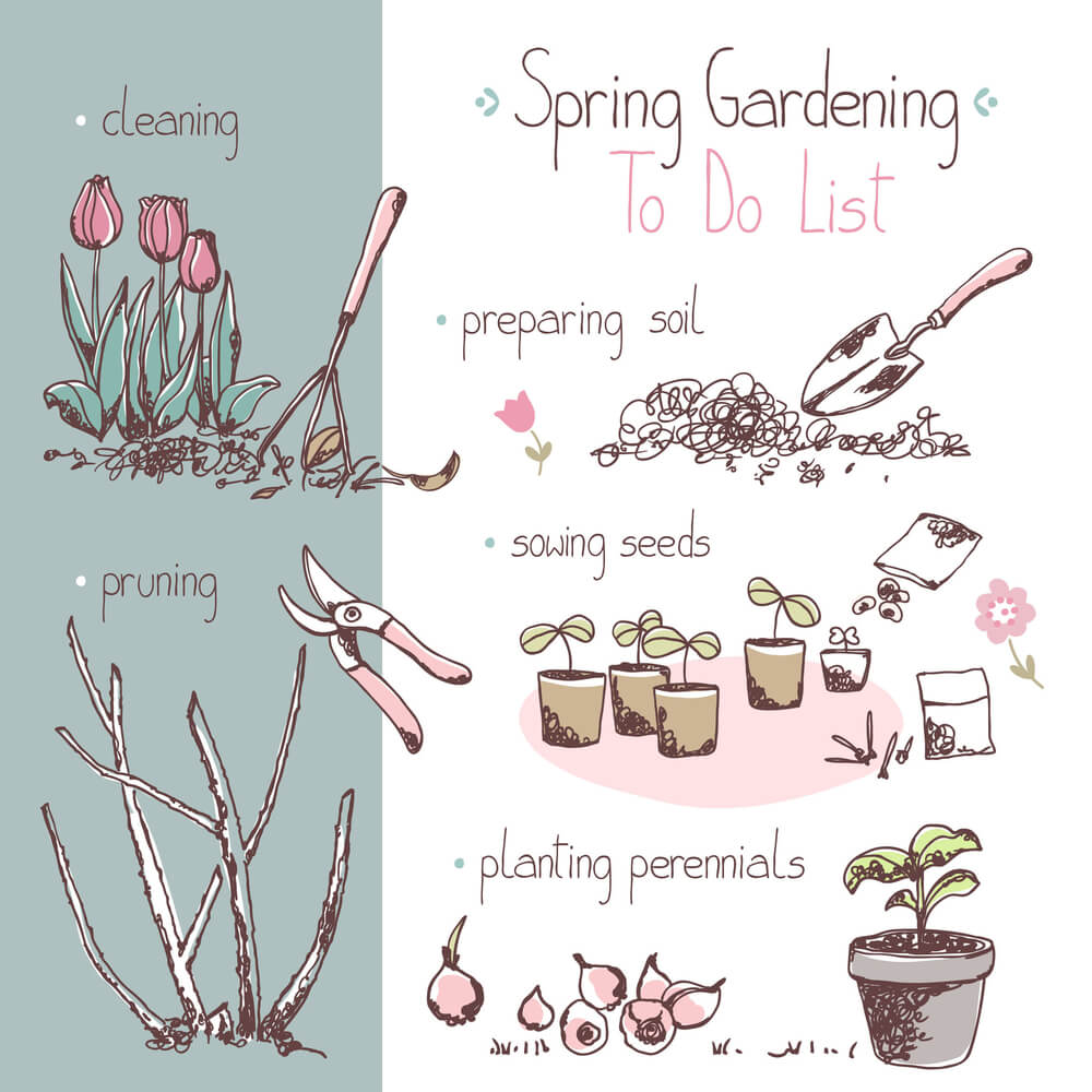 Hoe maak je jouw tuin klaar voor de lente? 11 tips!